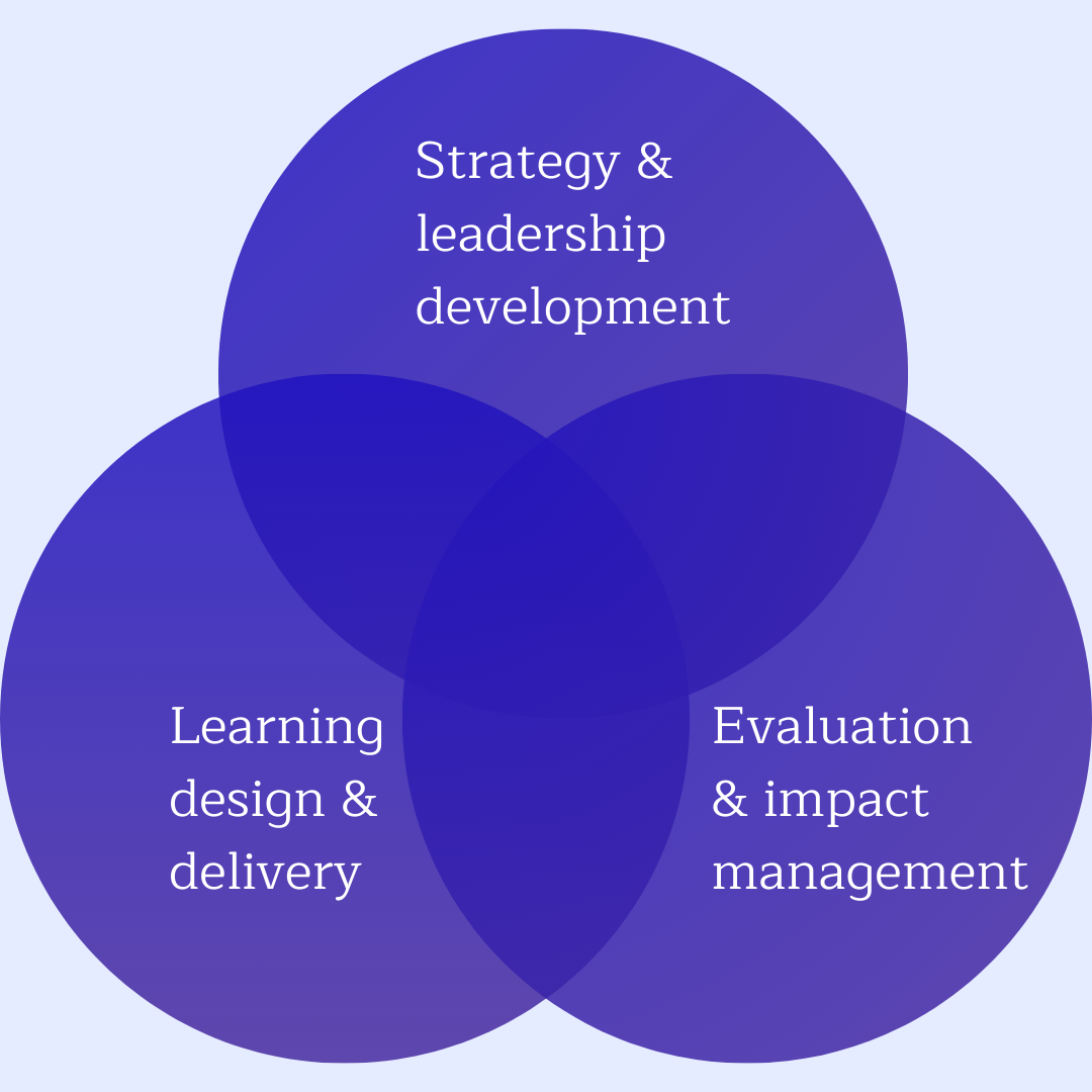 A venn diagram showing three overlapping themes: strategy and leadership development, learning design and delivery, evaluation and impact management